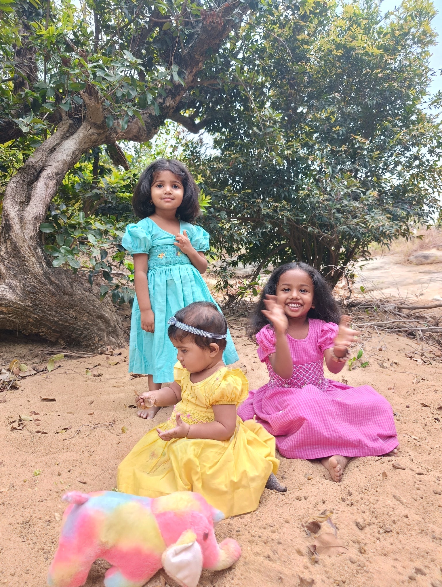 Sunny Bloom Smocked Dress