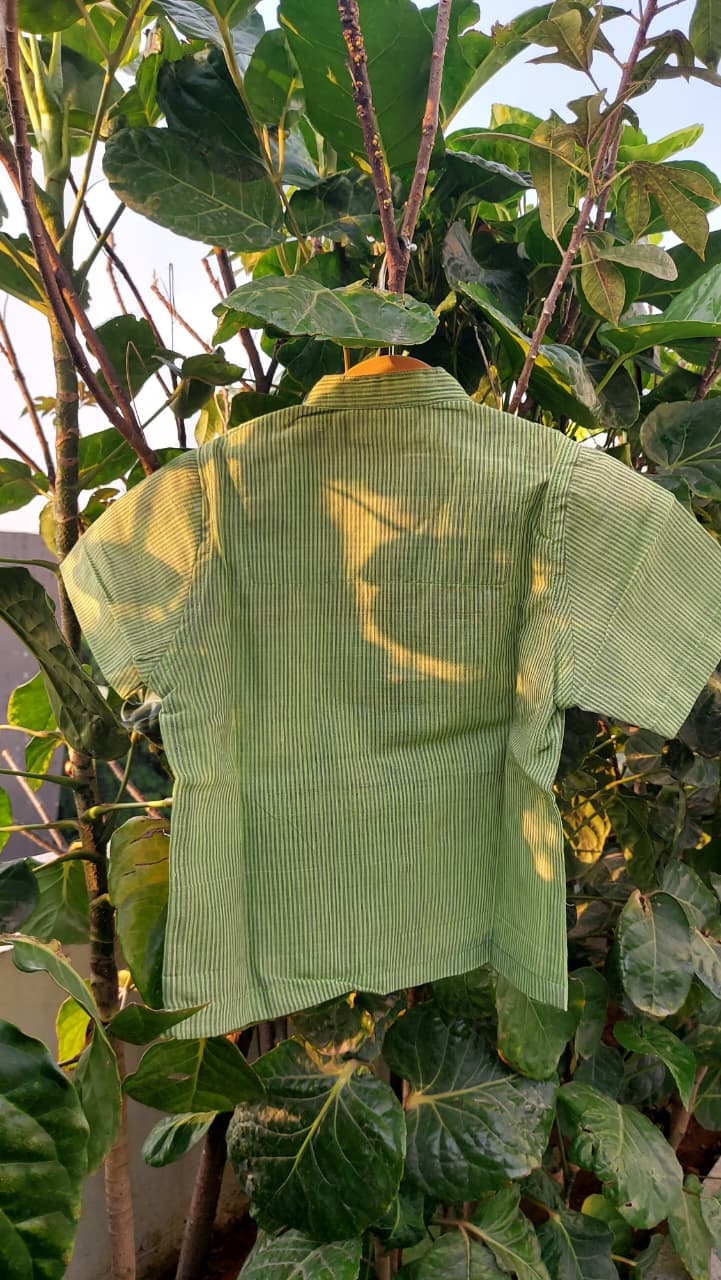 Hari Stripe Kurta