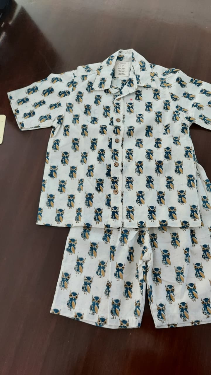 Owl Print Khadi Co-ord Set
